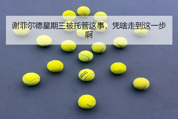 谢菲尔德星期三被托管这事，凭啥走到这一步啊
